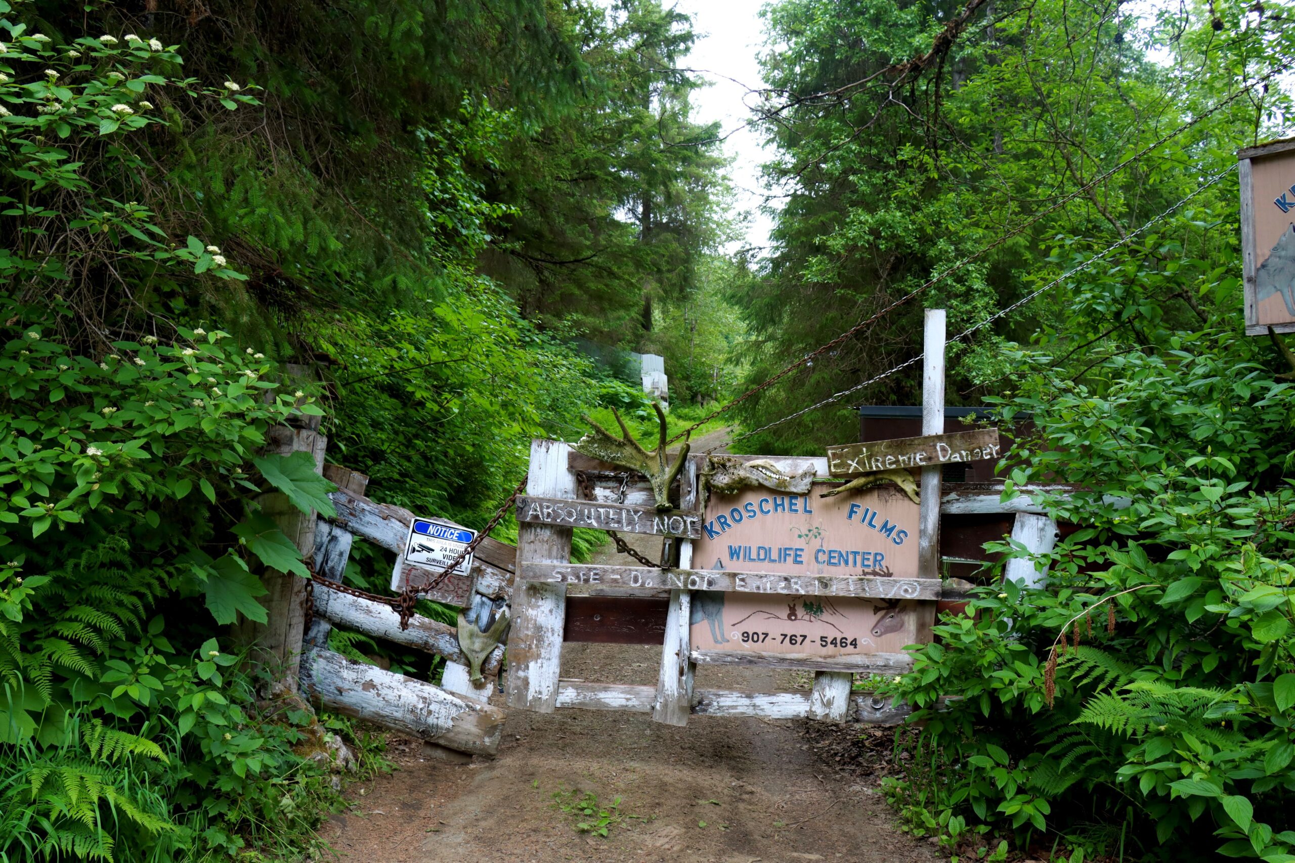 Owner of Haines wildlife center arrested more than a year after the state seized his animals